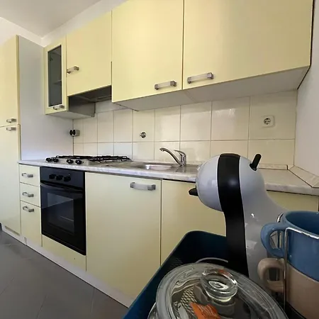 Paulina * זאדאר